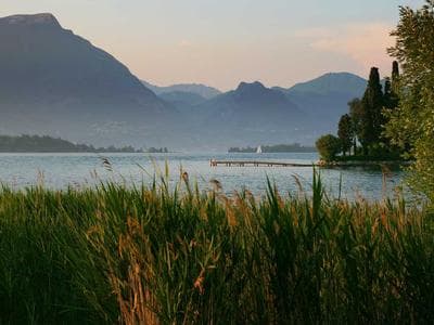 Free-Range Eggs v.22