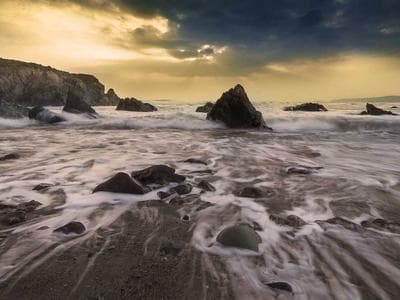 Fresh Strawberries v.18