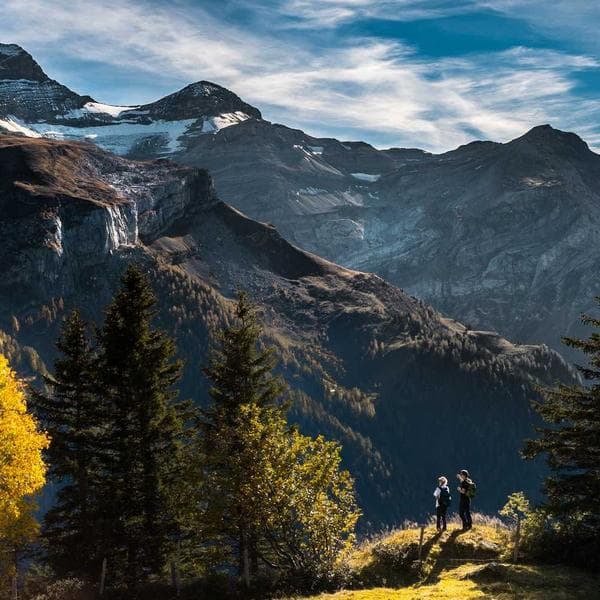 Alpen gold moloko